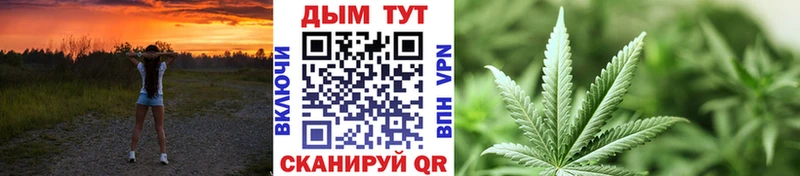 Шишки марихуана конопля Туринск
